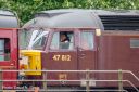 L-July23-DSC_0057-Edit.jpg
